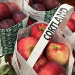PRODUCE_Cortland apples